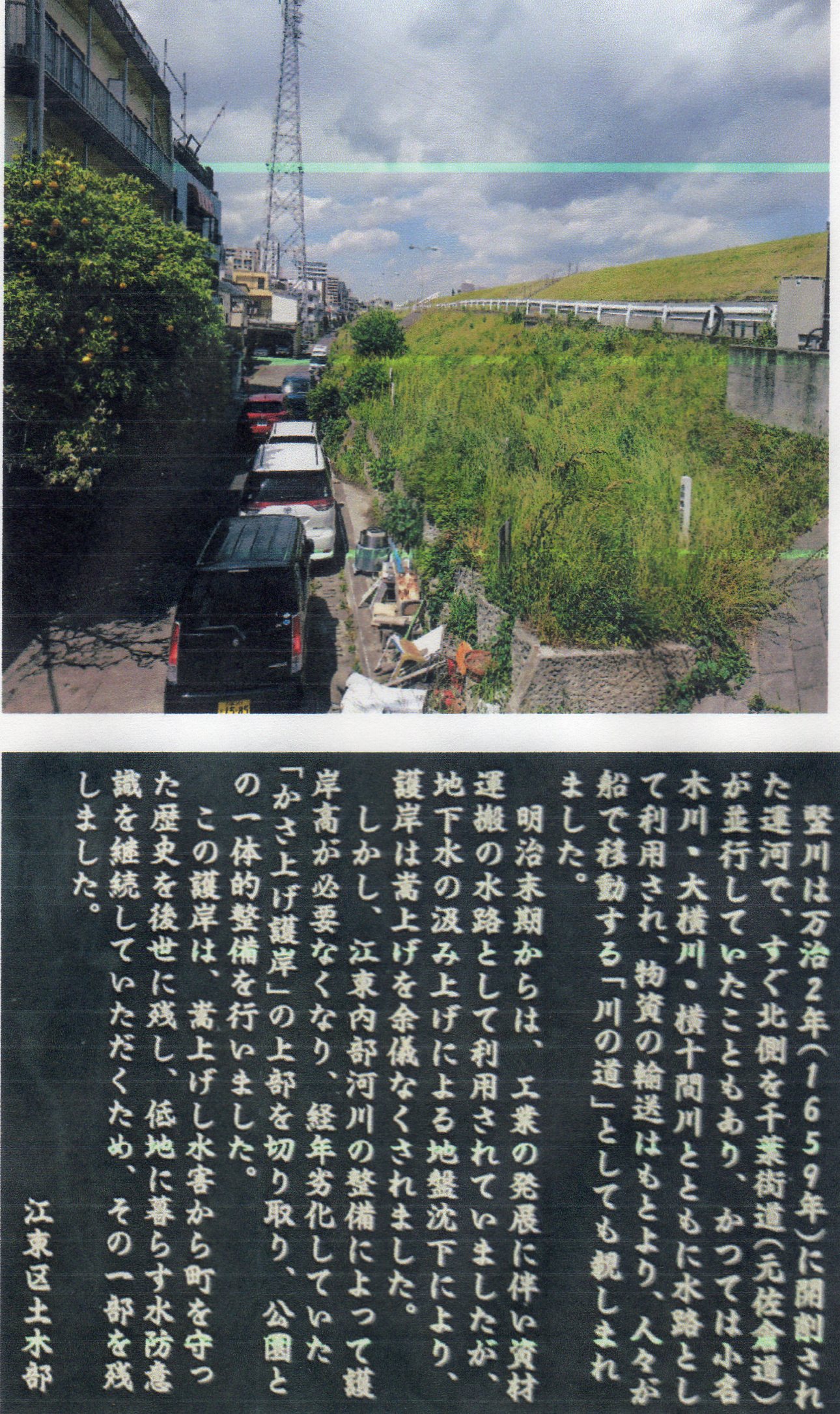 江東区の地盤沈下